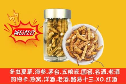 安丘市回收散虫草