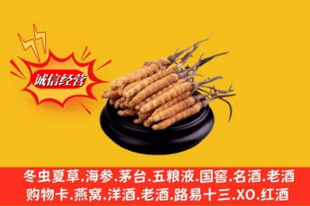 安丘市求购回收虫草多少钱每克